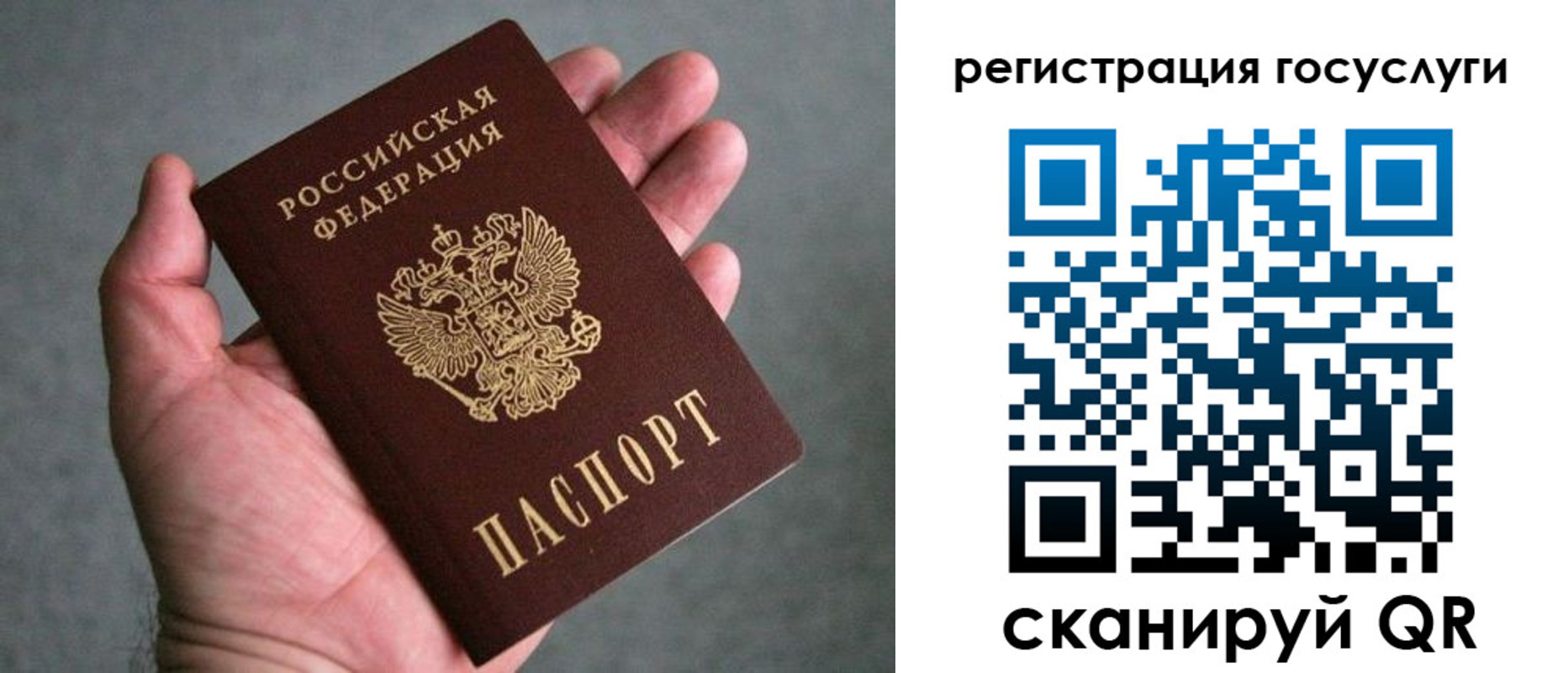 прописка поиск в Полярных Зорях